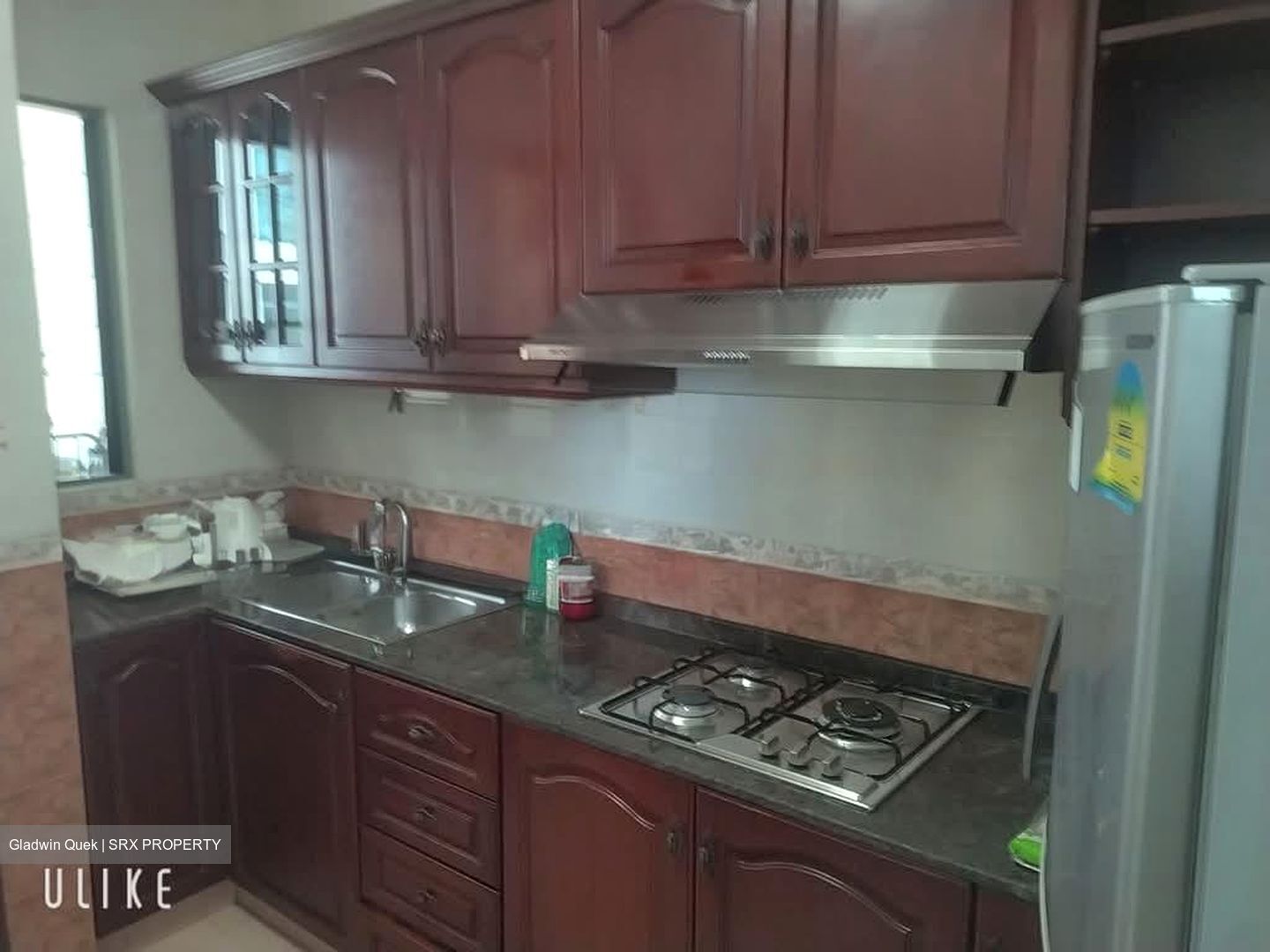 Tanglin Regency (D10), Condominium #605903641